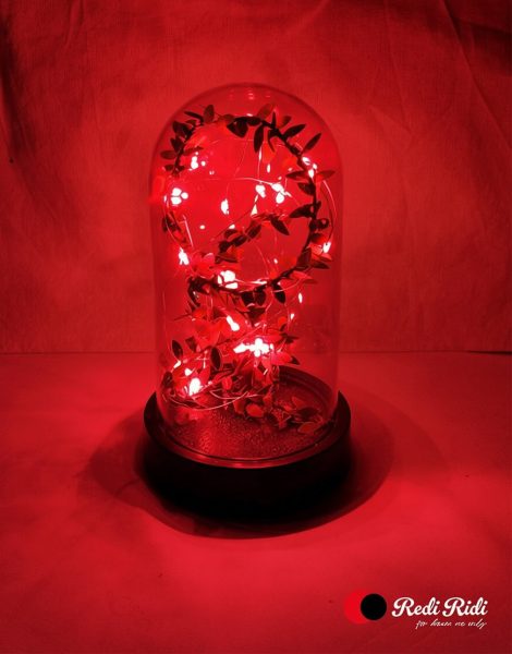 redi-ridi-kirmizi-led-isikli-dekoratif-fanus-RRDA106